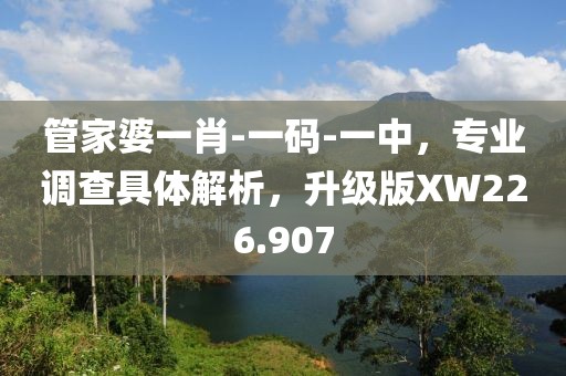 管家婆一肖-一碼-一中，專業調查具體解析，升級版XW226.907