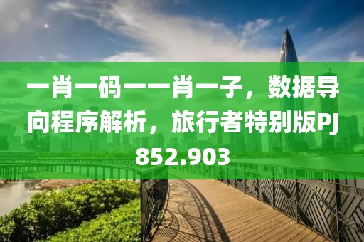 一肖一碼一一肖一子，數據導向程序解析，旅行者特別版PJ852.903