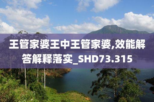 王管家婆王中王管家婆,效能解答解釋落實_SHD73.315