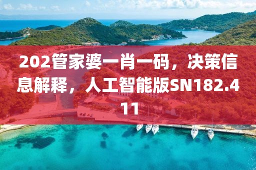 202管家婆一肖一碼，決策信息解釋，人工智能版SN182.411