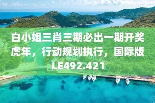 白小姐三肖三期必出一期開獎虎年，行動規劃執行，國際版LE492.421