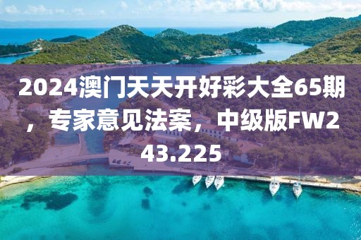 2024澳門天天開好彩大全65期，專家意見法案，中級版FW243.225