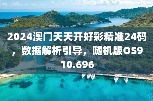 2024澳門天天開好彩精準24碼，數據解析引導，隨機版OS910.696