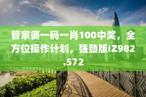 管家婆一碼一肖100中獎，全方位操作計劃，強勁版IZ982.572