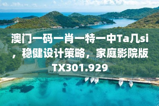 澳門一碼一肖一特一中Ta幾si，穩健設計策略，家庭影院版TX301.929