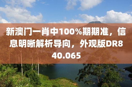 新澳門一肖中100%期期準，信息明晰解析導向，外觀版DR840.065