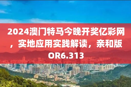 2024澳門特馬今晚開獎億彩網，實地應用實踐解讀，親和版OR6.313