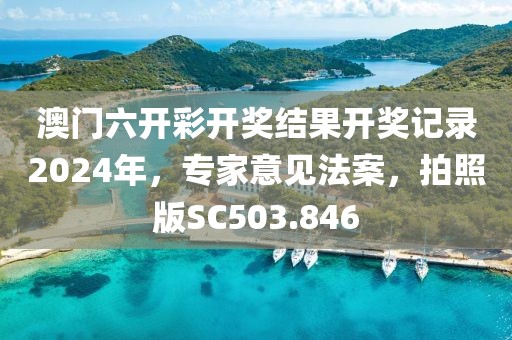 澳門六開彩開獎結果開獎記錄2024年，專家意見法案，拍照版SC503.846