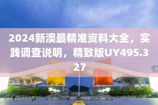 2024新澳最精準資料大全，實踐調查說明，精致版UY495.327