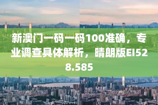 新澳門一碼一碼100準確，專業調查具體解析，晴朗版EI528.585