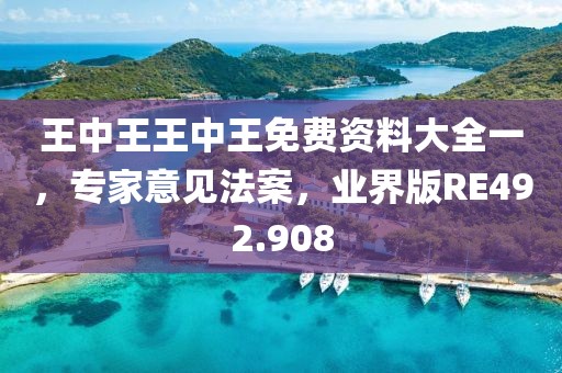 王中王王中王免費資料大全一，專家意見法案，業界版RE492.908