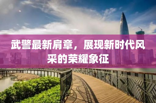 武警最新肩章，展現新時代風采的榮耀象征