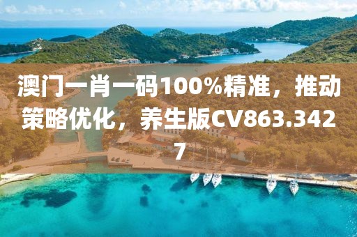 澳門一肖一碼100%精準，推動策略優化，養生版CV863.3427