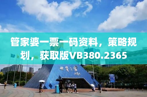 管家婆一票一碼資料，策略規劃，獲取版VB380.2365
