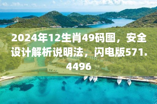 2024年12生肖49碼圖，安全設計解析說明法，閃電版571.4496