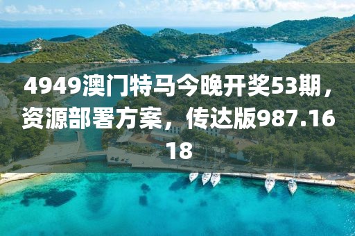 4949澳門特馬今晚開獎53期，資源部署方案，傳達版987.1618