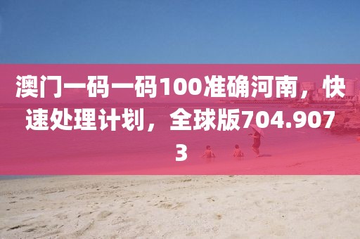 澳門一碼一碼100準確河南，快速處理計劃，全球版704.9073