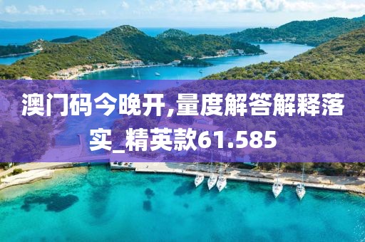澳門碼今晚開,量度解答解釋落實_精英款61.585