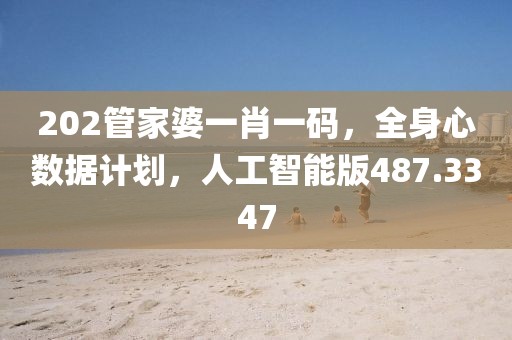 202管家婆一肖一碼，全身心數據計劃，人工智能版487.3347