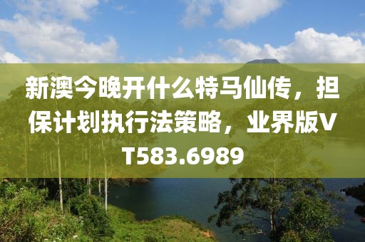 新澳今晚開什么特馬仙傳，擔保計劃執行法策略，業界版VT583.6989