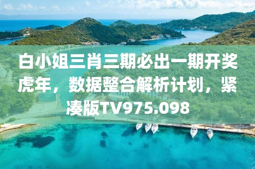 白小姐三肖三期必出一期開獎虎年，數據整合解析計劃，緊湊版TV975.098