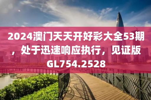 2024澳門天天開好彩大全53期，處于迅速響應執行，見證版GL754.2528