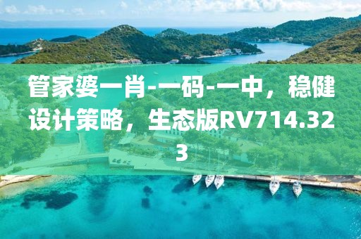 管家婆一肖-一碼-一中，穩健設計策略，生態版RV714.323