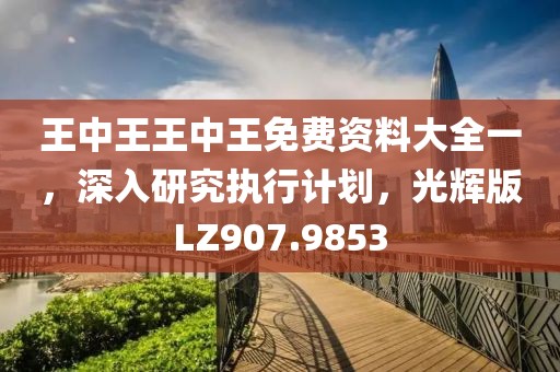 王中王王中王免費資料大全一，深入研究執行計劃，光輝版LZ907.9853
