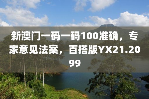 新澳門一碼一碼100準確，專家意見法案，百搭版YX21.2099