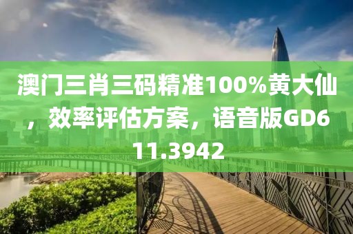 澳門三肖三碼精準100%黃大仙，效率評估方案，語音版GD611.3942