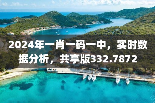 2024年一肖一碼一中，實時數據分析，共享版332.7872