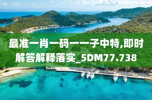 最準一肖一碼一一子中特,即時解答解釋落實_5DM77.738