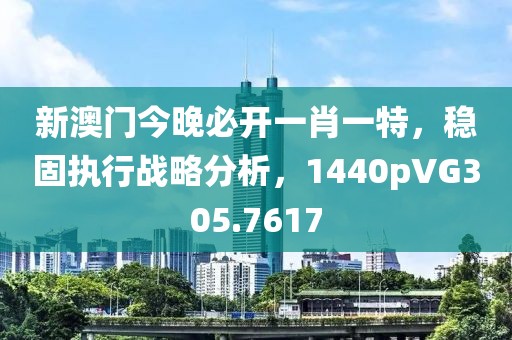 新澳門今晚必開一肖一特，穩固執行戰略分析，1440pVG305.7617
