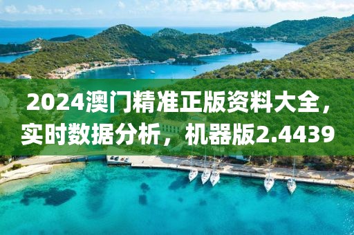 2024澳門精準正版資料大全，實時數據分析，機器版2.4439