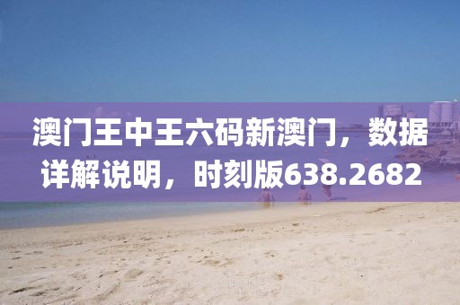 澳門王中王六碼新澳門，數據詳解說明，時刻版638.2682