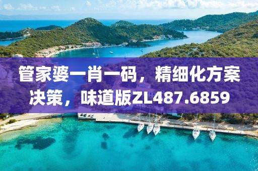 管家婆一肖一碼，精細化方案決策，味道版ZL487.6859