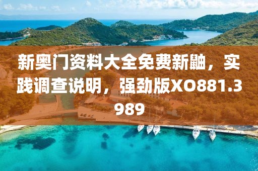 新奧門資料大全免費新鼬，實踐調查說明，強勁版XO881.3989