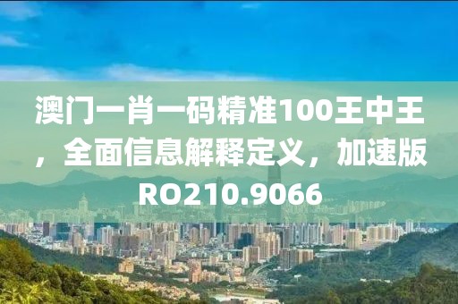 澳門一肖一碼精準100王中王，全面信息解釋定義，加速版RO210.9066