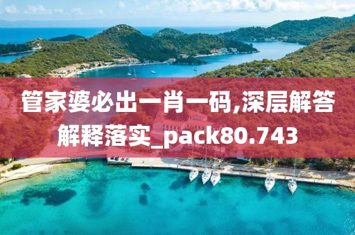 管家婆必出一肖一碼,深層解答解釋落實_pack80.743