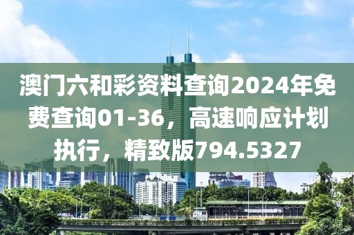 澳門六和彩資料查詢2024年免費查詢01-36，高速響應計劃執行，精致版794.5327