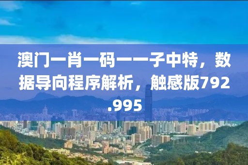 澳門一肖一碼一一子中特，數據導向程序解析，觸感版792.995