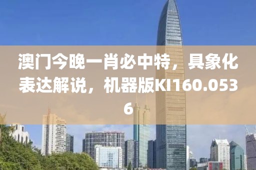 澳門今晚一肖必中特，具象化表達解說，機器版KI160.0536