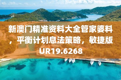 新澳門精準資料大全管家婆料，平衡計劃息法策略，敏捷版UR19.6268