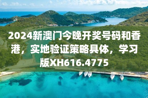 2024新澳門今晚開獎號碼和香港，實地驗證策略具體，學習版XH616.4775