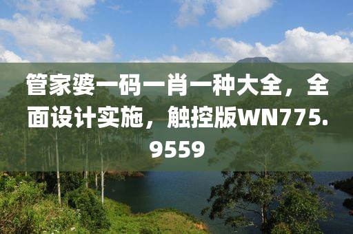 管家婆一碼一肖一種大全，全面設計實施，觸控版WN775.9559