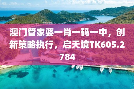 澳門管家婆一肖一碼一中，創新策略執行，啟天境TK605.2784