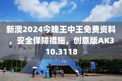 新澳2024今晚王中王免費資料，安全保障措施，創意版AK310.3118