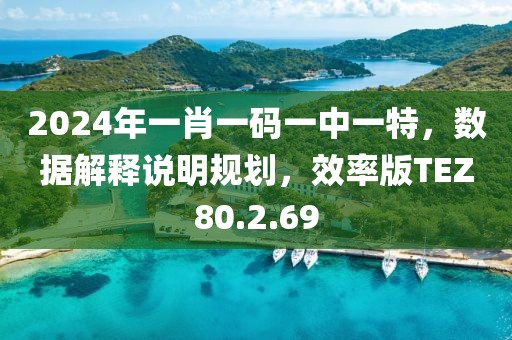 2024年一肖一碼一中一特，數據解釋說明規劃，效率版TEZ80.2.69