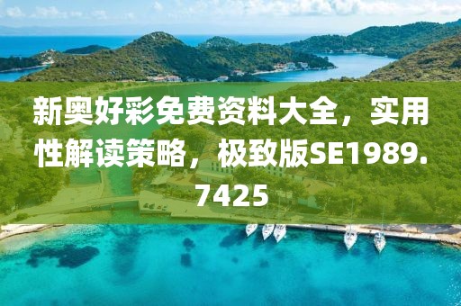 新奧好彩免費資料大全，實用性解讀策略，極致版SE1989.7425