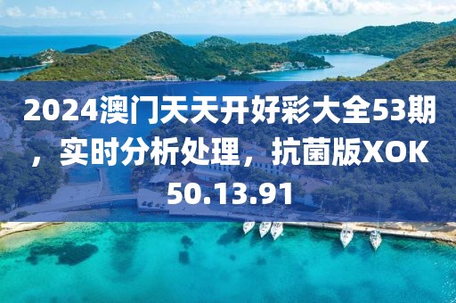 2024澳門天天開好彩大全53期，實時分析處理，抗菌版XOK50.13.91